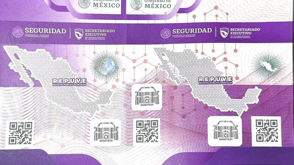 Constancia de Inscripción - Chip REPUVE